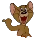 JerryLook
