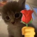 c_flower