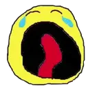 cry
