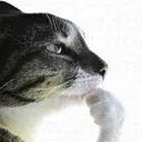 thinkersclawg
