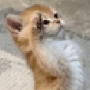 emoji_32 Discord Emoji - NV