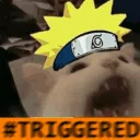 CatNaruto