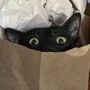 wut