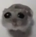 oh