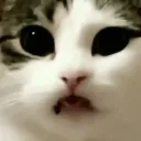 emoji_180
