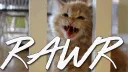 Rawr