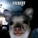 Gilbert Gilbert