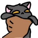 chokethekitty