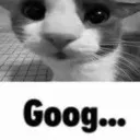 goog goog