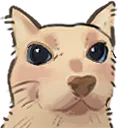 gatoopo