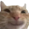 happycat