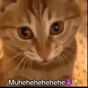 evillaugh