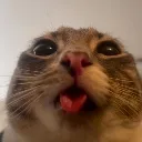 huh