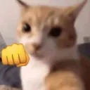 whatdidusay
