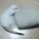 catspinpillow