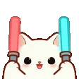 kittycheering