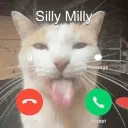 catcall