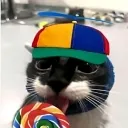 catbleh2