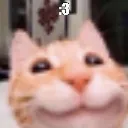 ColonThreeCat