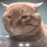 snackstare
