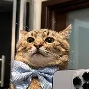 emoji_7 emoji_7