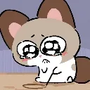 rbh_cat_buon