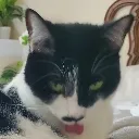 emoji_9 emoji_9