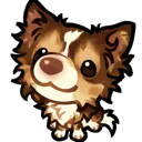 2r_thechihuahua