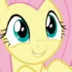 zfluttershyawhz