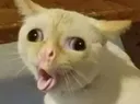 eau