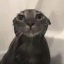 washed