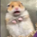 b_scared
