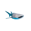 Venus_Shark