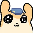 jeebStare