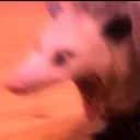 scream scream