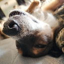 Dekmanbelike Discord sticker from Asylum City✨