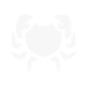 tropical_crab