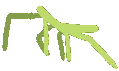 8520_StickBugDance