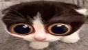 MONKA MONKA