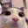 cat_blinking