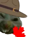 canadxdx canadxdx