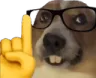 nerd_dog