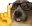 nerd_dog