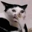 emoji_42