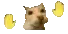 cat_dance