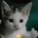 okeh