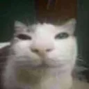 661600sillycat