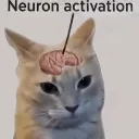 Neuronactivation
