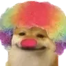 Clown_Doge