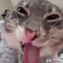 emoji_33 emoji_33